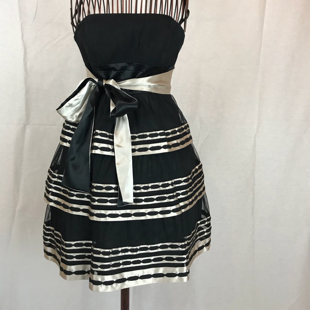 Beautiful BCBG Evening Dress